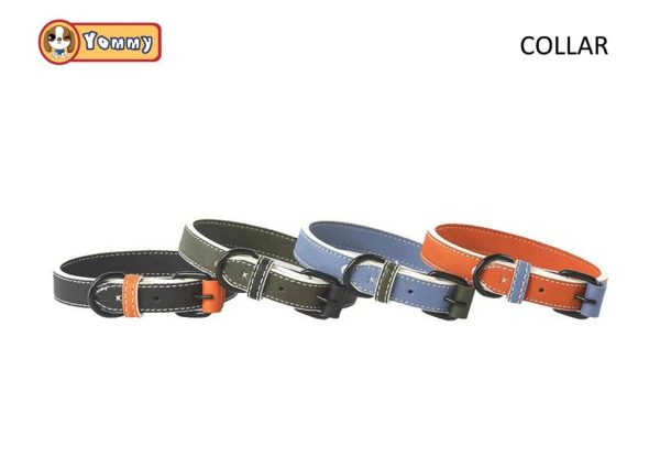 Collar PU 2.5 cm - Accesorios para mascotas
