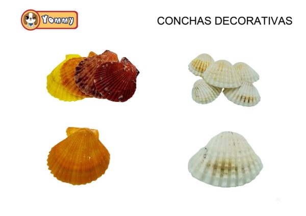 Conchas decorativas de 7 colores (150g) - Adornos para acuarios
