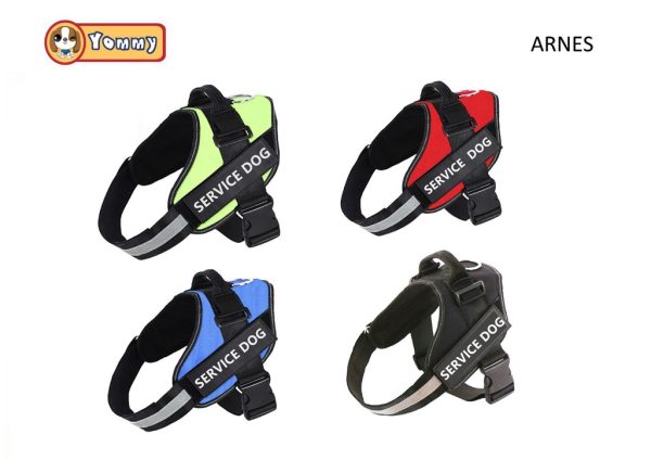 Arnés para perro tamaño L 65-81 cm - Accesorios para mascotas