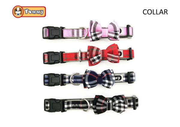 Collar lazo 1.5*30-45cm - Accesorios para mascotas