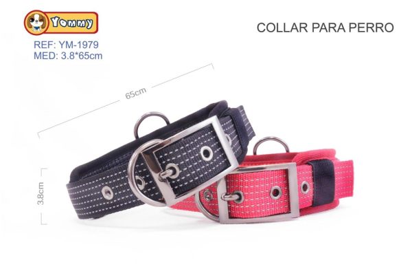 Collar para perro grande L-3.8x65 cm - Serie de nylon