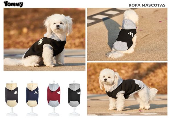 Ropa para mascotas - Sudadera de colores para perro XL