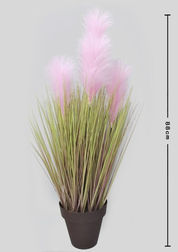 planta decorativa de caña - Decoración de hogar