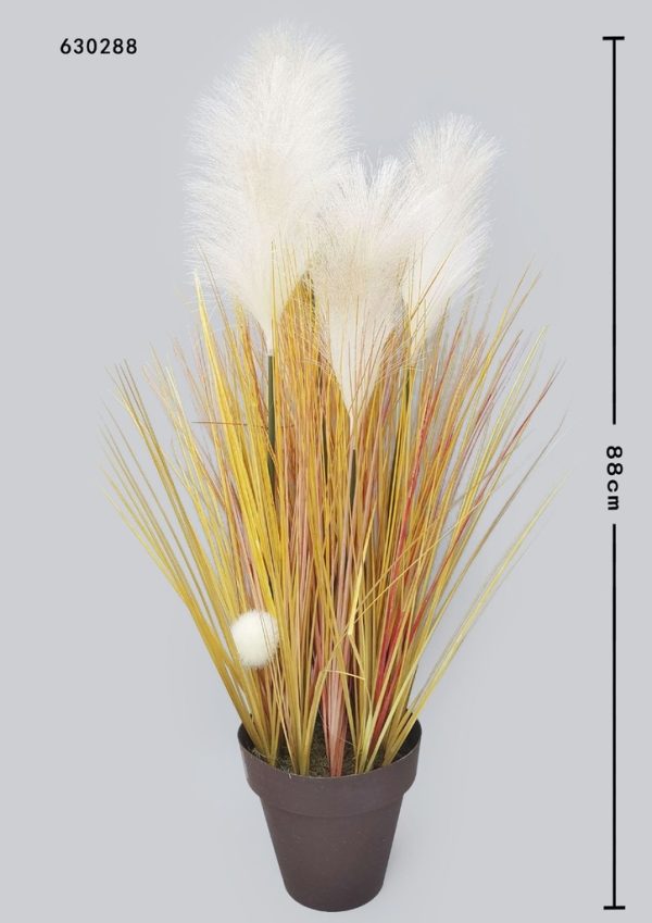 planta decorativa de caña - Decoración de hogar - Imagen 2