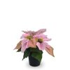 Bonsái artificial de 3 cabezas cortas de Flores de Navidad de 25 cm - Planta decorativa