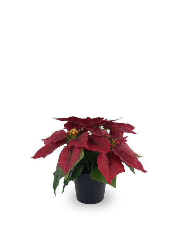 Bonsái artificial de 3 cabezas cortas de Flores de Navidad de 25 cm - Planta decorativa - Imagen 2