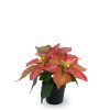 Bonsái artificial de 3 cabezas cortas de Flores de Navidad de 25 cm - Planta decorativa - Imagen 3