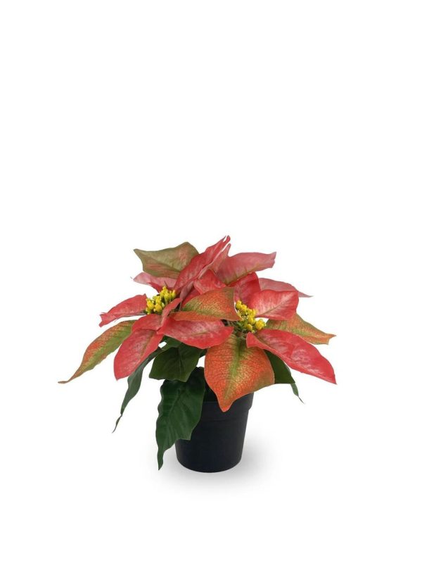Bonsái artificial de 3 cabezas cortas de Flores de Navidad de 25 cm - Planta decorativa - Imagen 3