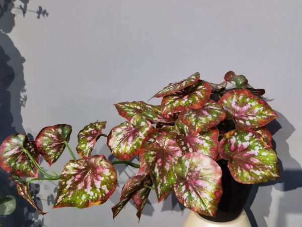 Bonsái artificial de hoja de taro colgante - Planta decorativa