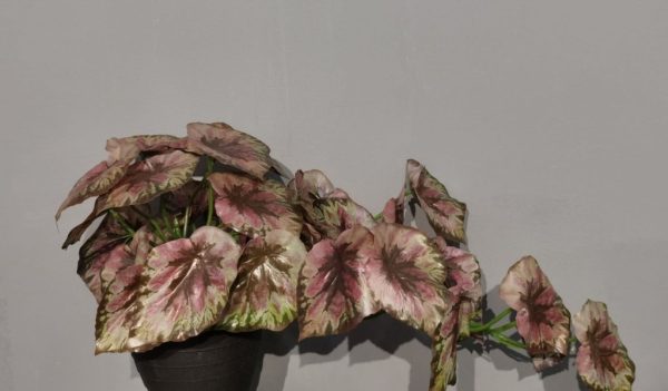Bonsái artificial de hojas de concha colgantes - Planta decorativa