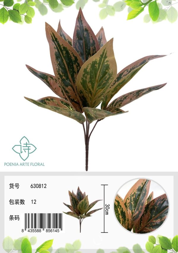 Espina de hoja de planta eterna roja 11 hojas - Plantas decorativas