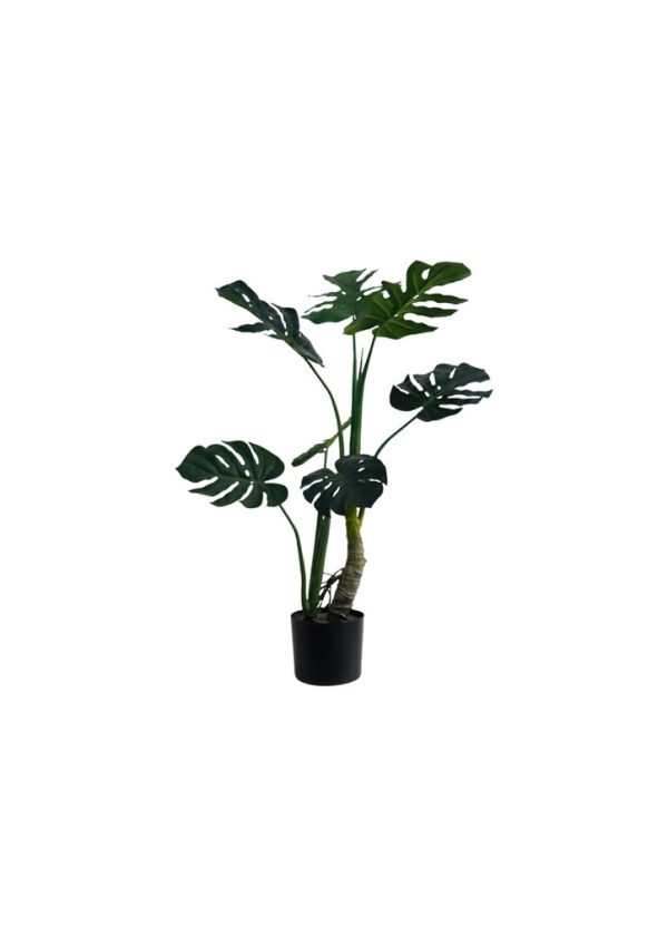 Ficus en maceta 122 cm - Plantas decorativas y vegetación