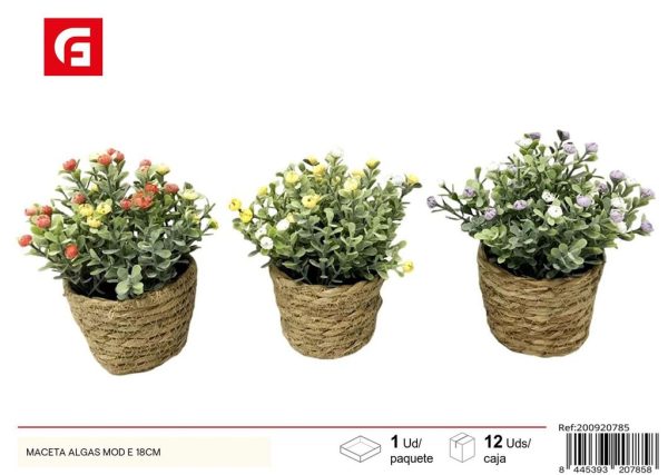 Maceta algas mod E 18 cm - Plantas artificiales y decorativas