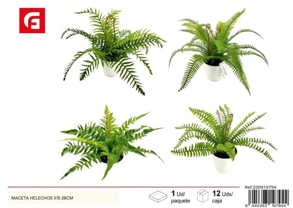 Maceta helechos x15 28 cm - Decoración y plantas artificiales