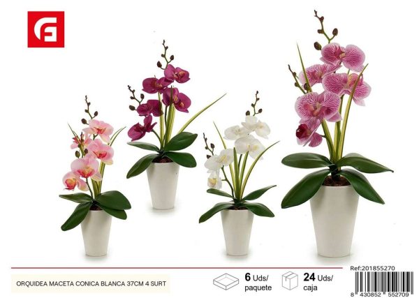 Orquídea maceta cónica blanca de 37 cm surtida - Plantas artificiales y decoración del hogar