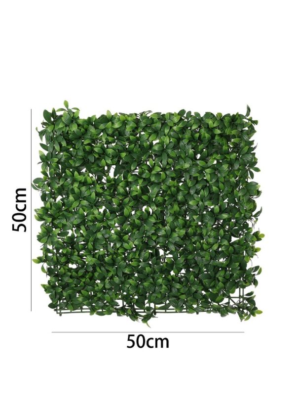 Pared de plantas 50*50cm - Jardín vertical - Imagen 3