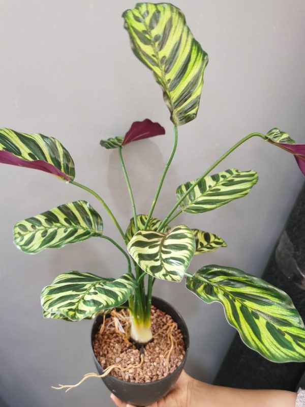 Planta artificial 12 cabezas de hoja de pavo real - Decoraciones ecológicas