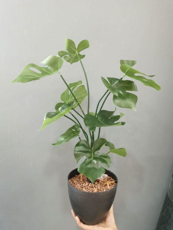 Planta artificial 12 cabezas de hoja de tortuga - Decoraciones ecológicas