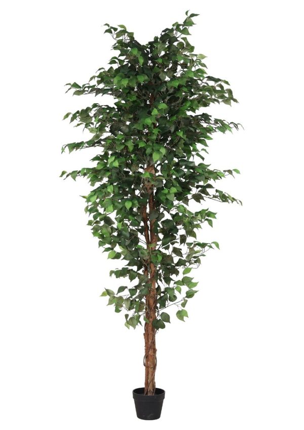 Planta artificial de ficus 210 cm - Plantas de interior