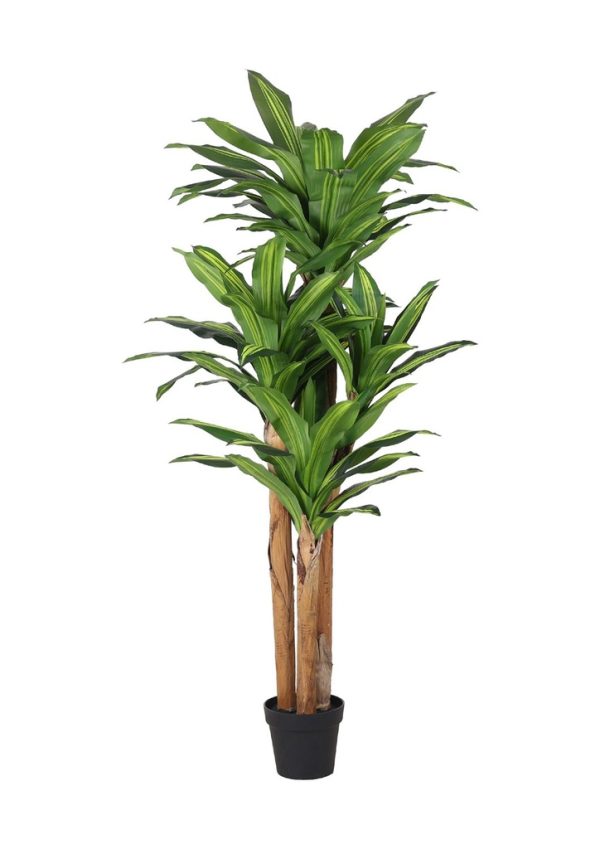 Planta artificial de hojas brasileñas 180 cm - Plantas de interior