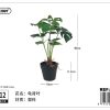 Planta artificial de macetas - Flores artificiales - Imagen 2