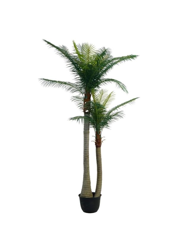 Planta artificial palmera de cola de pescado 98" (250 cm) - Decoraciones y plantas artificiales