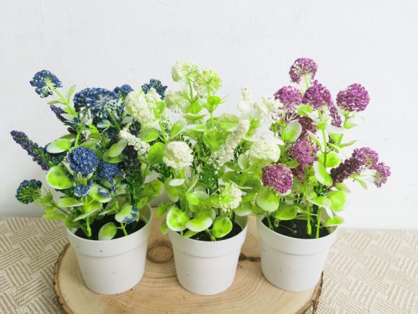 Planta artificial pequeña en maceta - Bonsái decorativo - Imagen 16