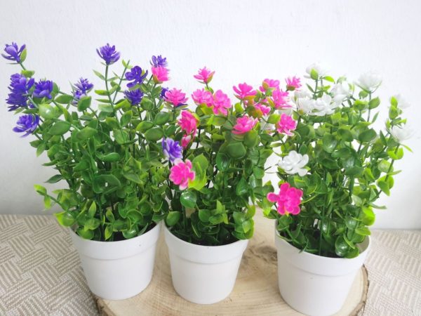 Planta artificial pequeña en maceta - Bonsái decorativo - Imagen 19