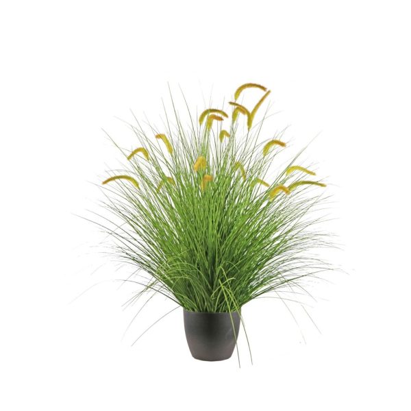 Planta de cola de zorro verde 120 cm - Decoración de interiores y jardines