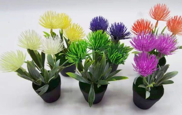 Planta decorativa 5101025 - Plantas decorativas