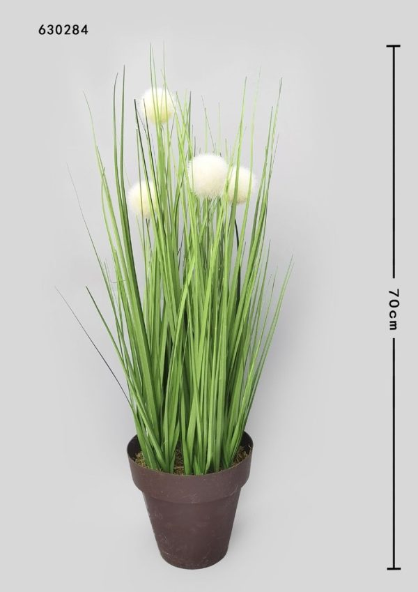 Planta decorativa de caña con 5 cabezas 60 cm - Decoración de interiores