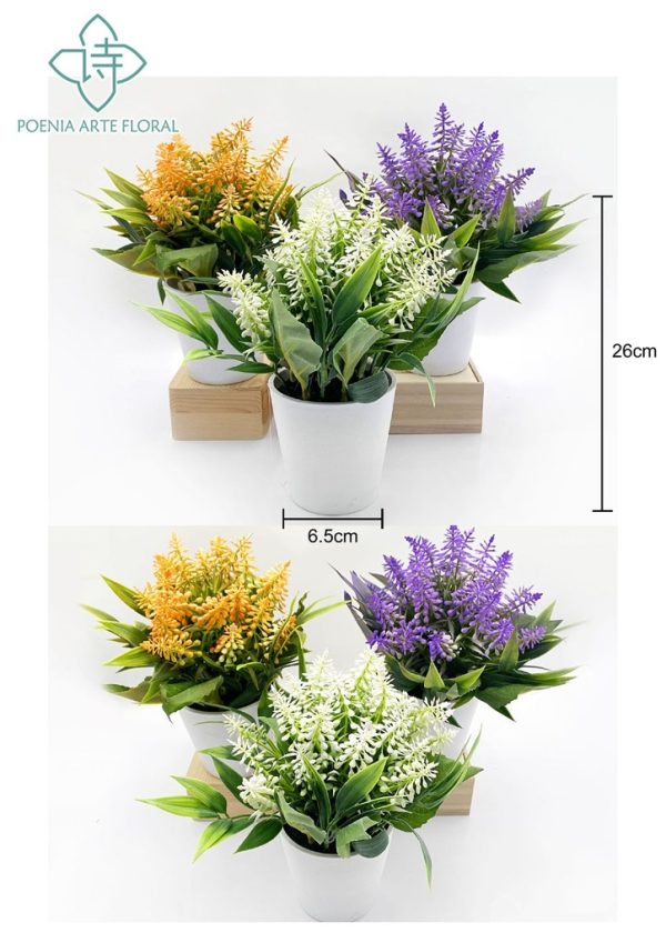 Planta en maceta 630561 surtido - Jardinería
