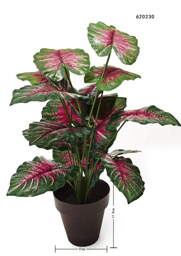 Planta en maceta de tamaño mediano con corazón rojo de 70 cm - Decoración vegetal