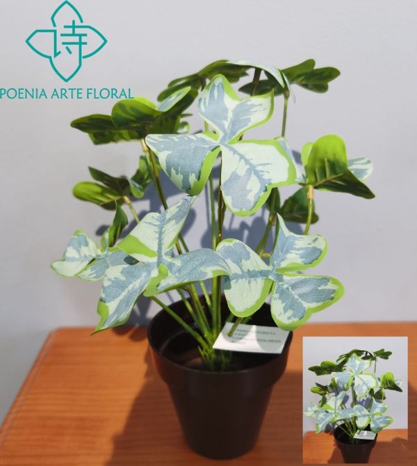 Planta en maceta pequeña M630334-2 (8435588851362) - Macetas decorativas