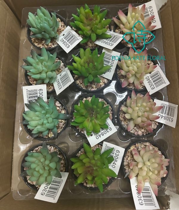 Planta suculenta artificial para decoración de interiores