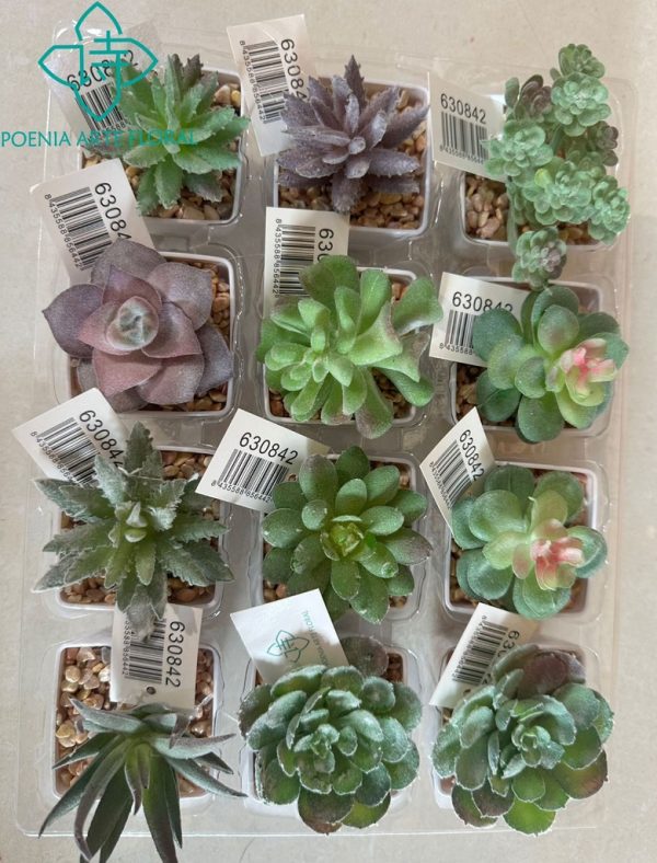 Planta suculenta en combinación - Flores artificiales