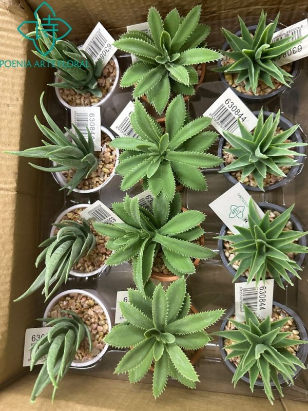 Planta suculenta en maceta - Flores artificiales