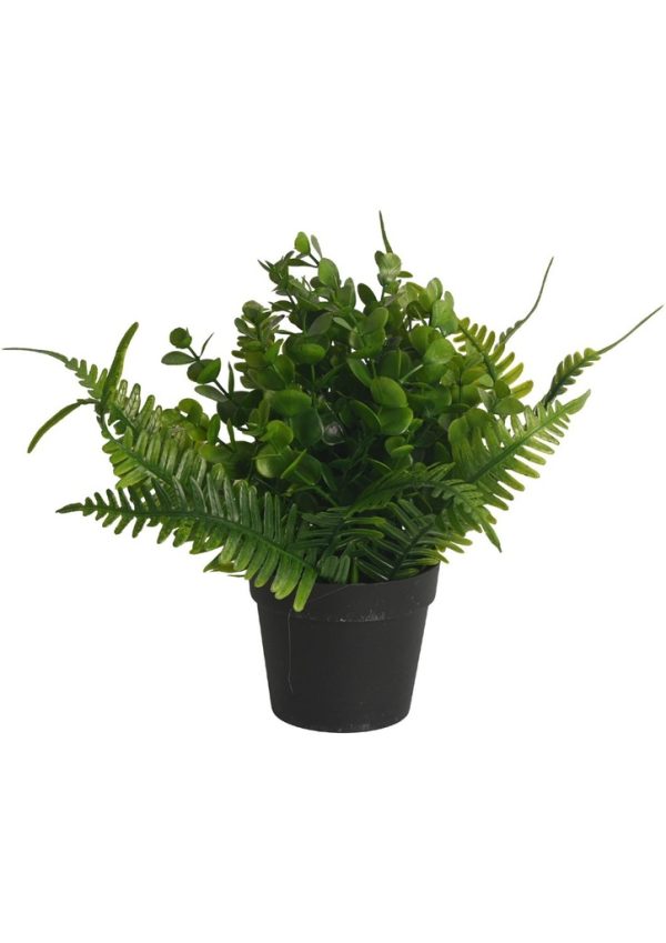 Pozuelo artificial con combinación de eucalipto y hierba acuática - Pequeño macetero decorativo
