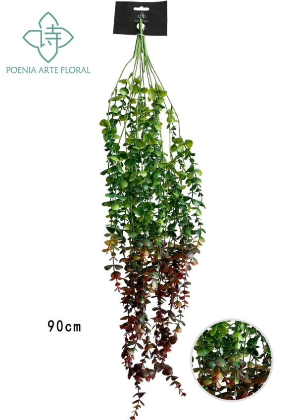 Rama con hojas de eucalipto - Decoraciones de interior