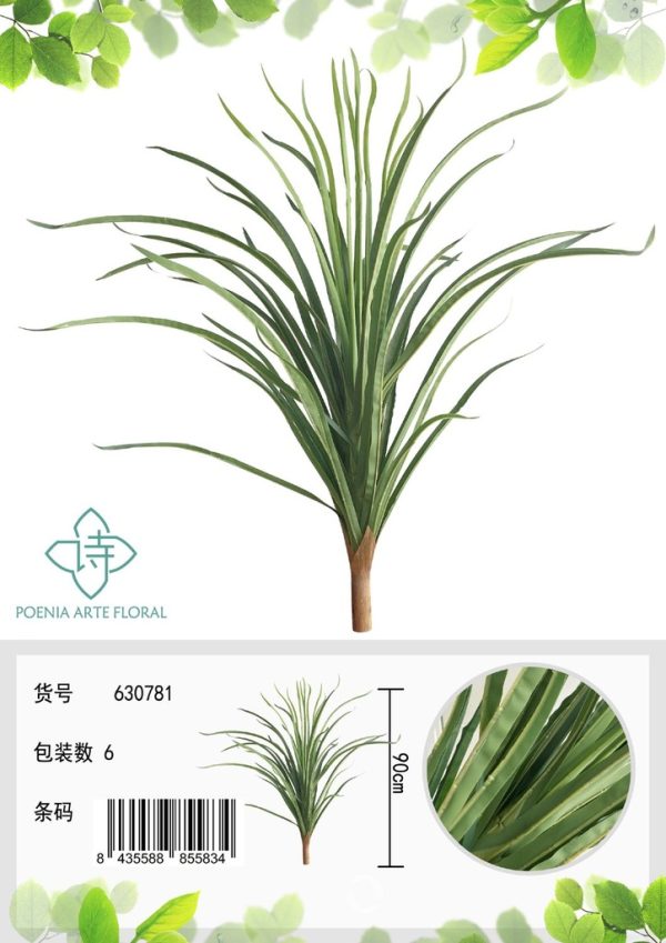 Rama de dracaena sin maceta X40LVS - Plantas decorativas