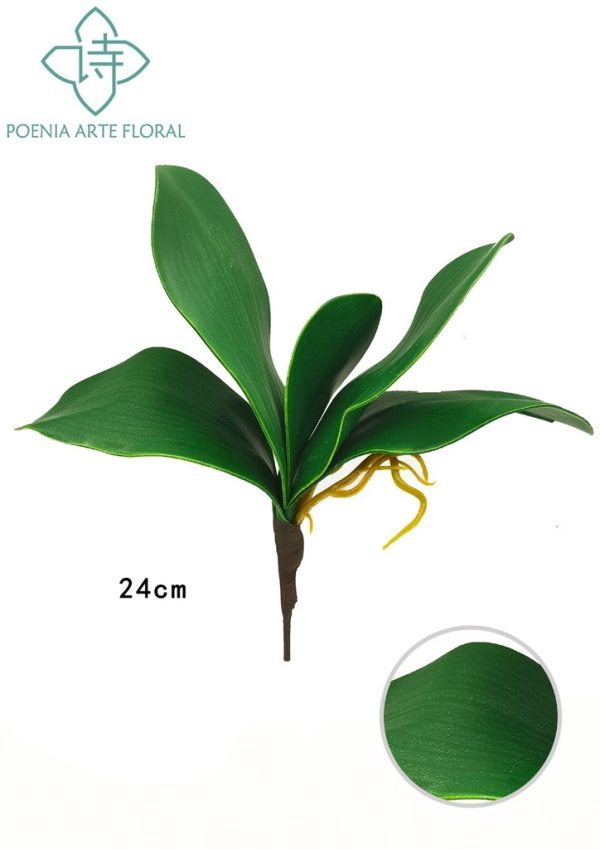 Rama de hojas verdes de orquídea - Decoraciones de plantas