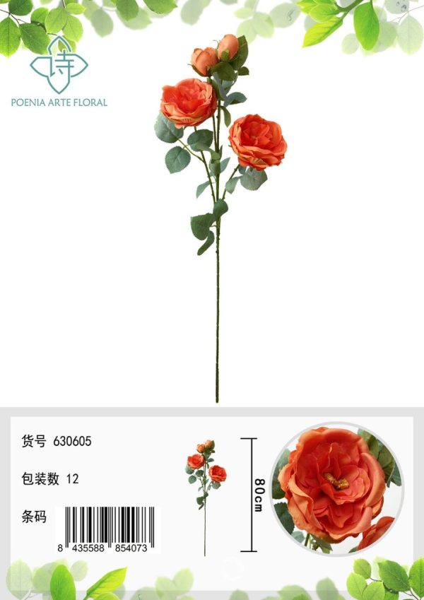 Ramo de 4 rosas irlandesas de 70 cm - Bouquet de flores