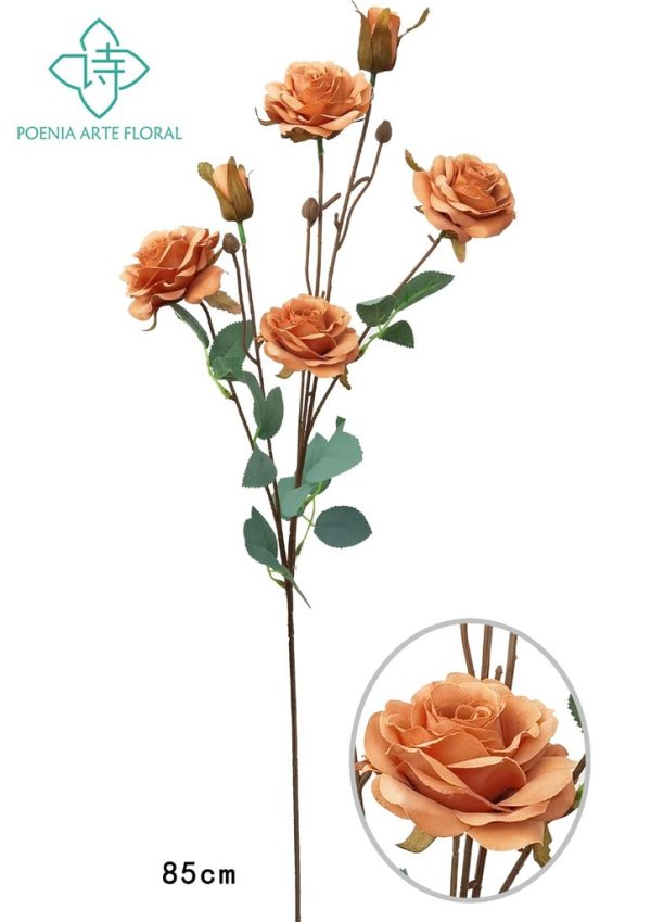 Ramo de 6 rosas de aceite - Decoración floral