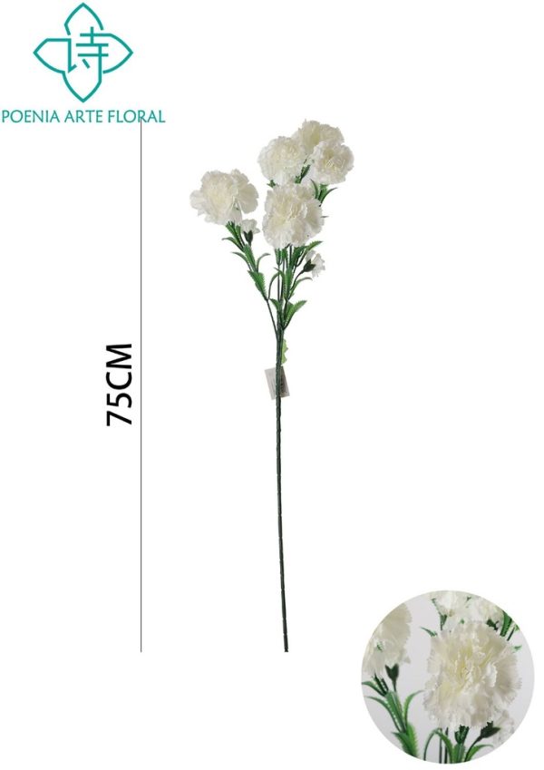 Ramo de clavel culinar 75cm - Nuevos productos