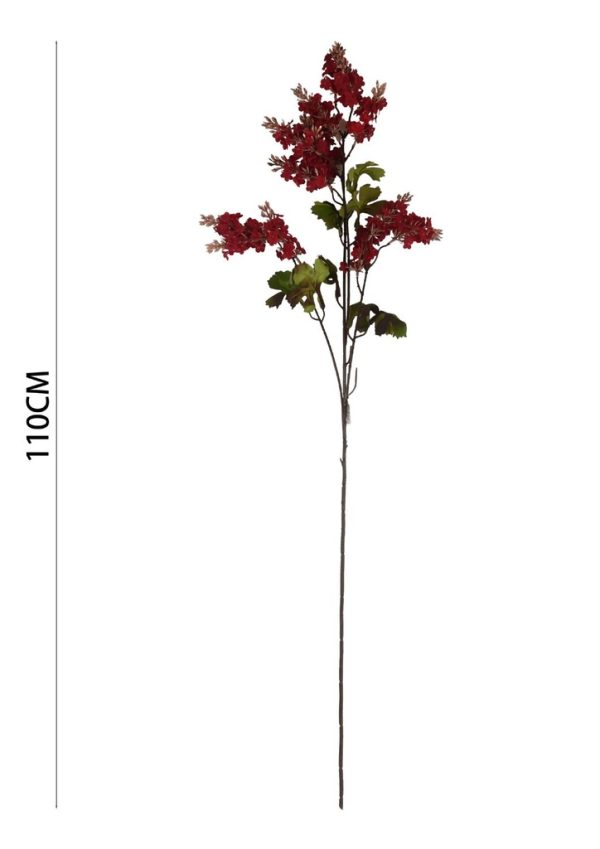 Ramo de diente de león en rojo - Decoración floral