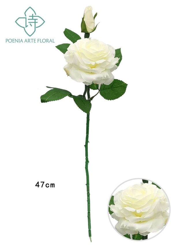 Ramo de rosas nuevas - Decoración floral