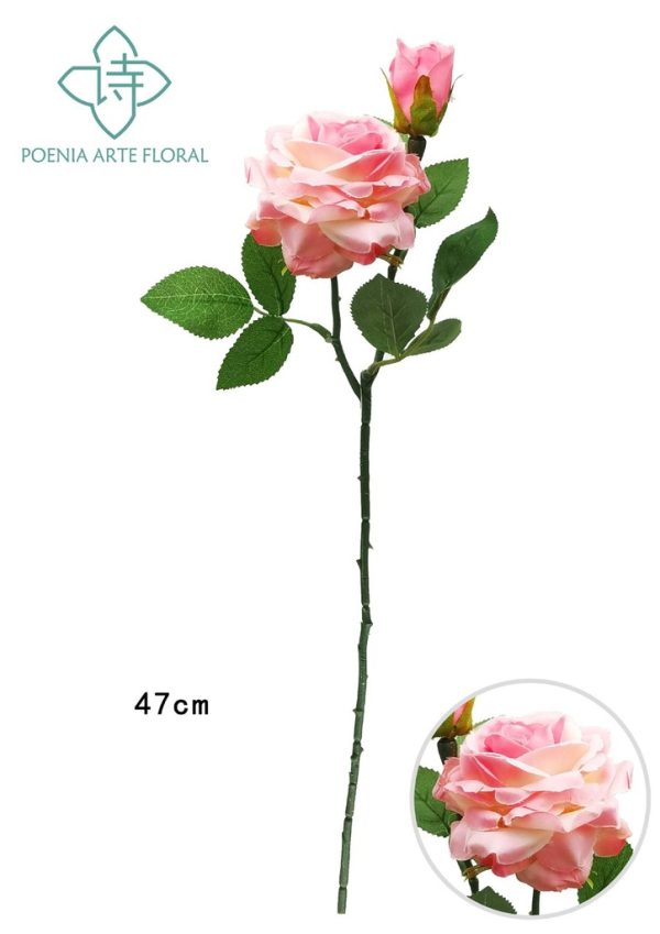 Ramo de rosas nuevas en color rosa - Decoración floral