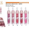 Brillo labial 24h mate 24/U - Productos de belleza
