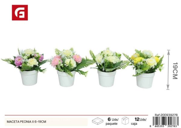 Maceta de capullos mixtos de 6-19 cm - Decoración para jardines