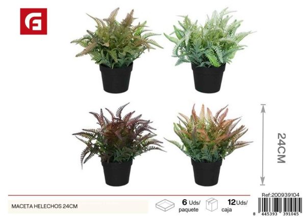Maceta de helechos de 24 cm - Decoración para jardines